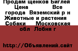 Продам щенков Биглей › Цена ­ 15 000 - Все города, Вяземский р-н Животные и растения » Собаки   . Московская обл.,Лобня г.